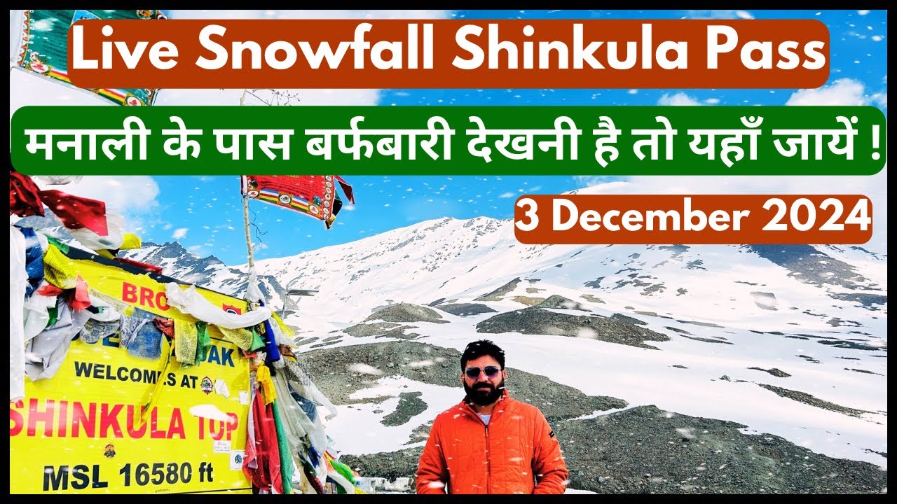 Live Snowfall at Shinkula Top | Best Snow Experience Near Manali #livesnowfall #shinkula #manali