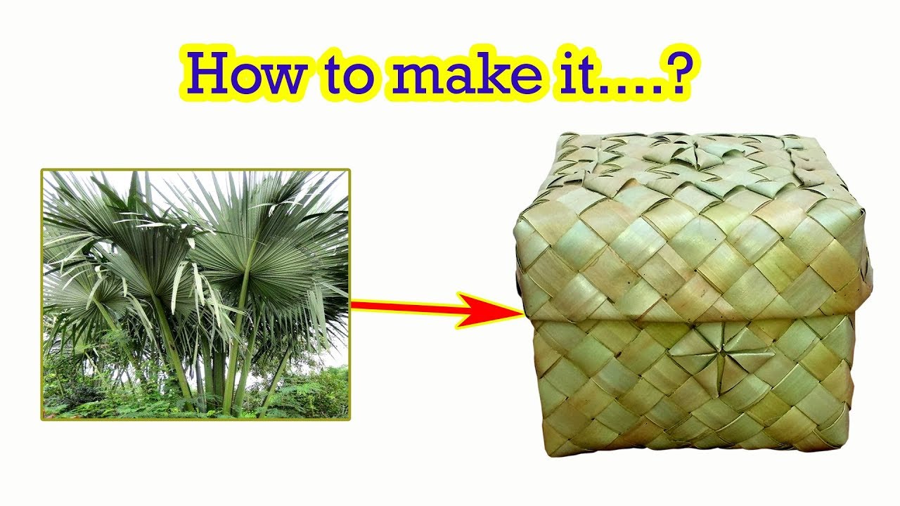 How to make palm leaves box part 1 - Hand Creating