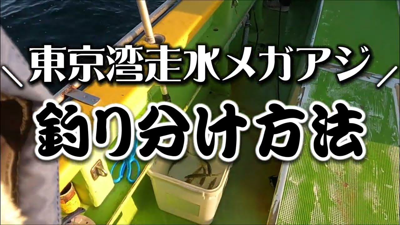東京湾走水アジ、メガアジの釣り分け方