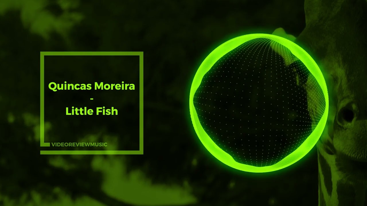 Quincas Moreira - Little Fish