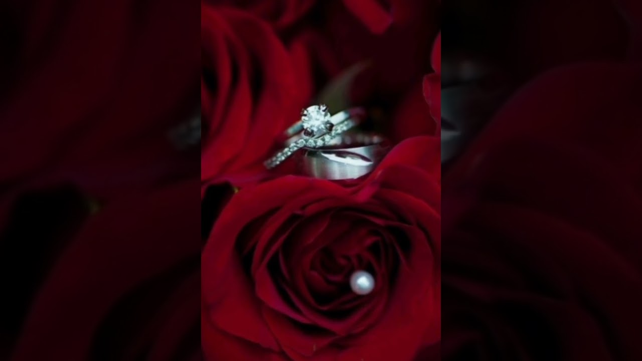 🌹ATIVA&Ccedil;&Atilde;O DO ARQU&Eacute;TIPO DA ROSA VERMELHA ❣️🌹❣️🌹❣️🌹