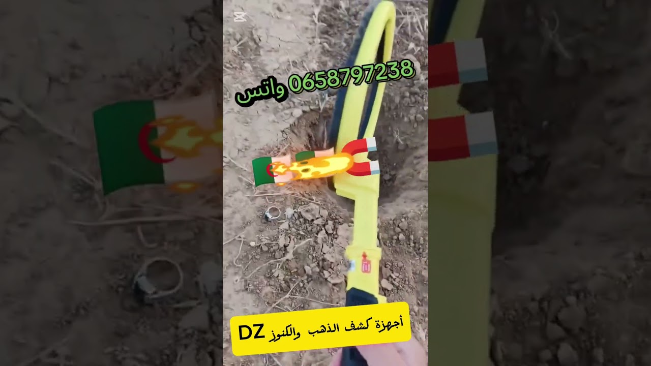 Pulse dive mokta 🇩🇿🇩🇿🇩🇿