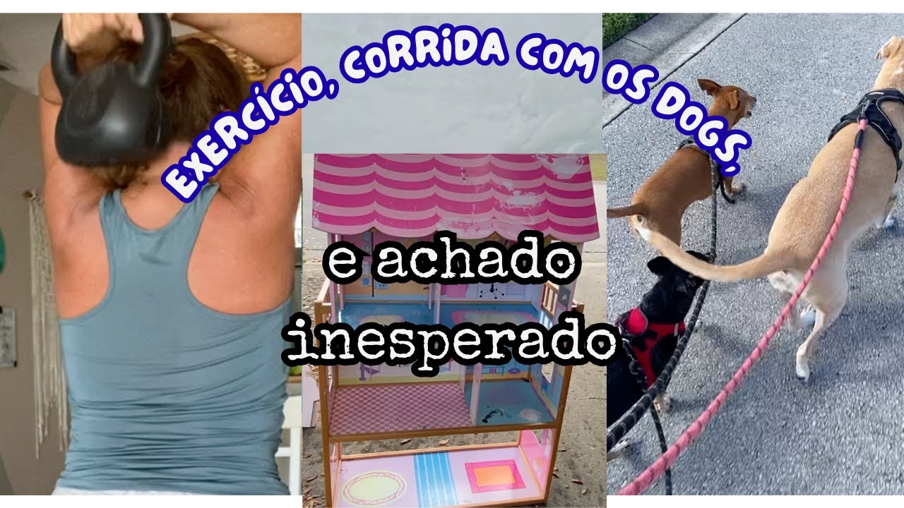Corrida com os dogs, exercício e um achado inesperado