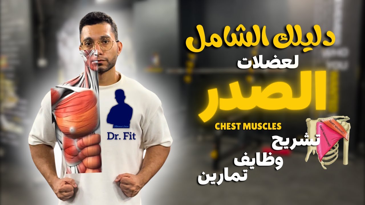 دليلك الشامل  لعضلات الصدر | تشريح وتمارين عضلة الشيست ( الصدر )👌🔥💪