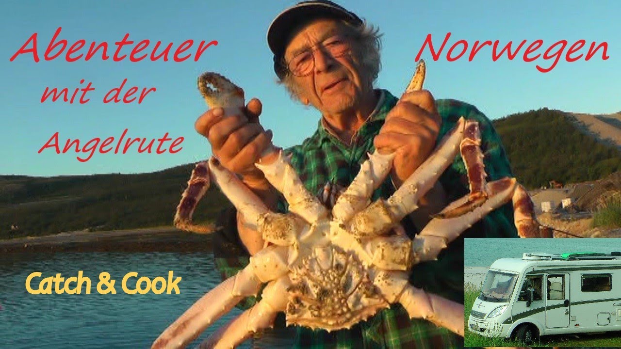 Monsterkrabben ( Königskrabben): Selbst geangelt, zerlegt und verspeist