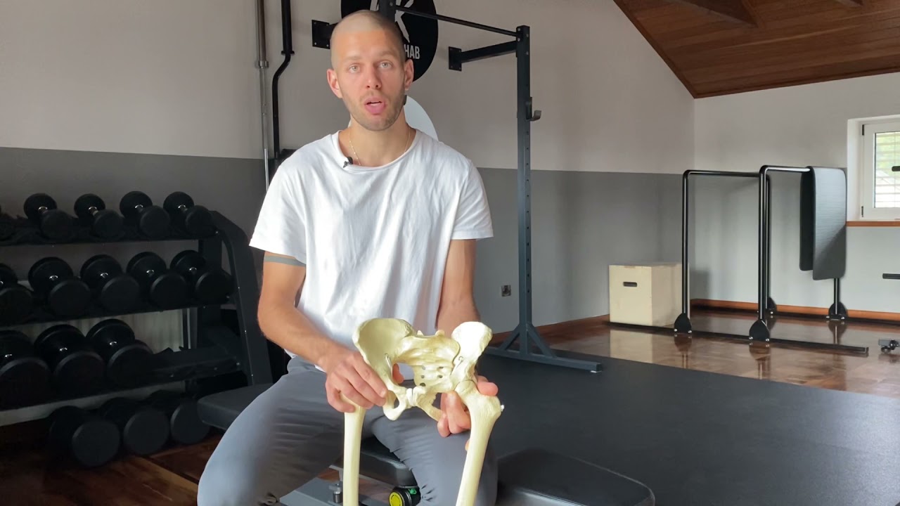 Split Squat Biomechanics