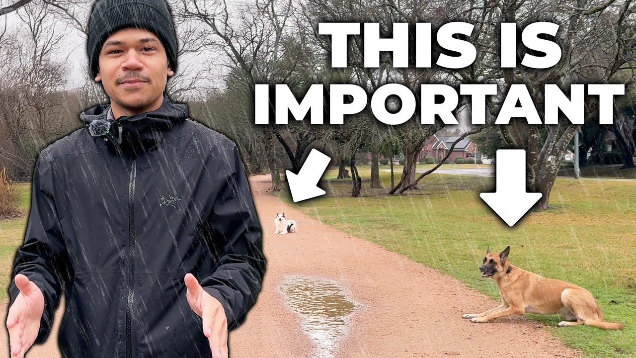 You Need to Do THIS With Your Reactive Dog