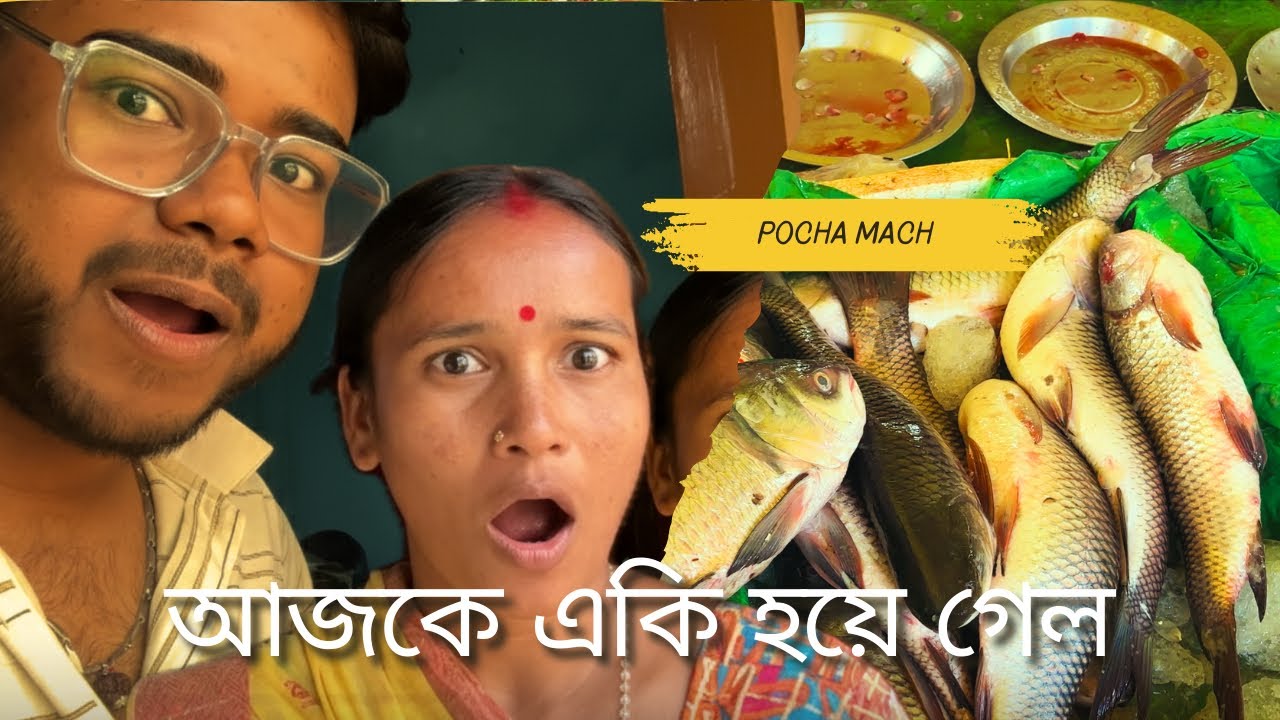 Vlog 12 মা 😭 আজকে প্রচুর গালি দিল | আজকের 🐟 রুই মাছ কিনলাম |  Aaj Fir se Popat Ho Gaya | Lumding |
