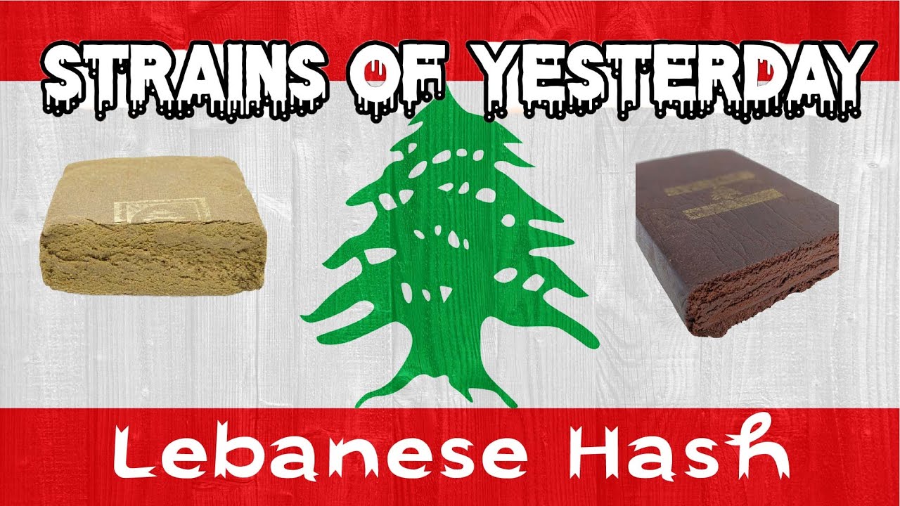 Strains of Yesterday :  Lebanese Hash