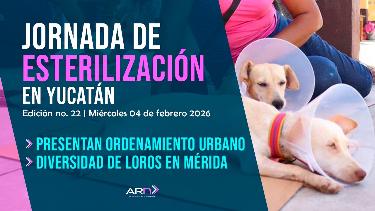 ARN 22 | MIÉRCOLES 04 DE FEBRERO 2026
