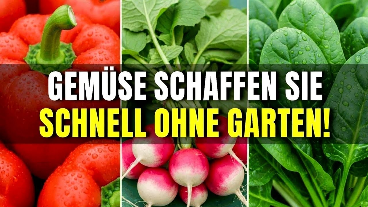 Die Top 7 einfachsten Gemüsesorten für Anfänger zum Anbau in Töpfen