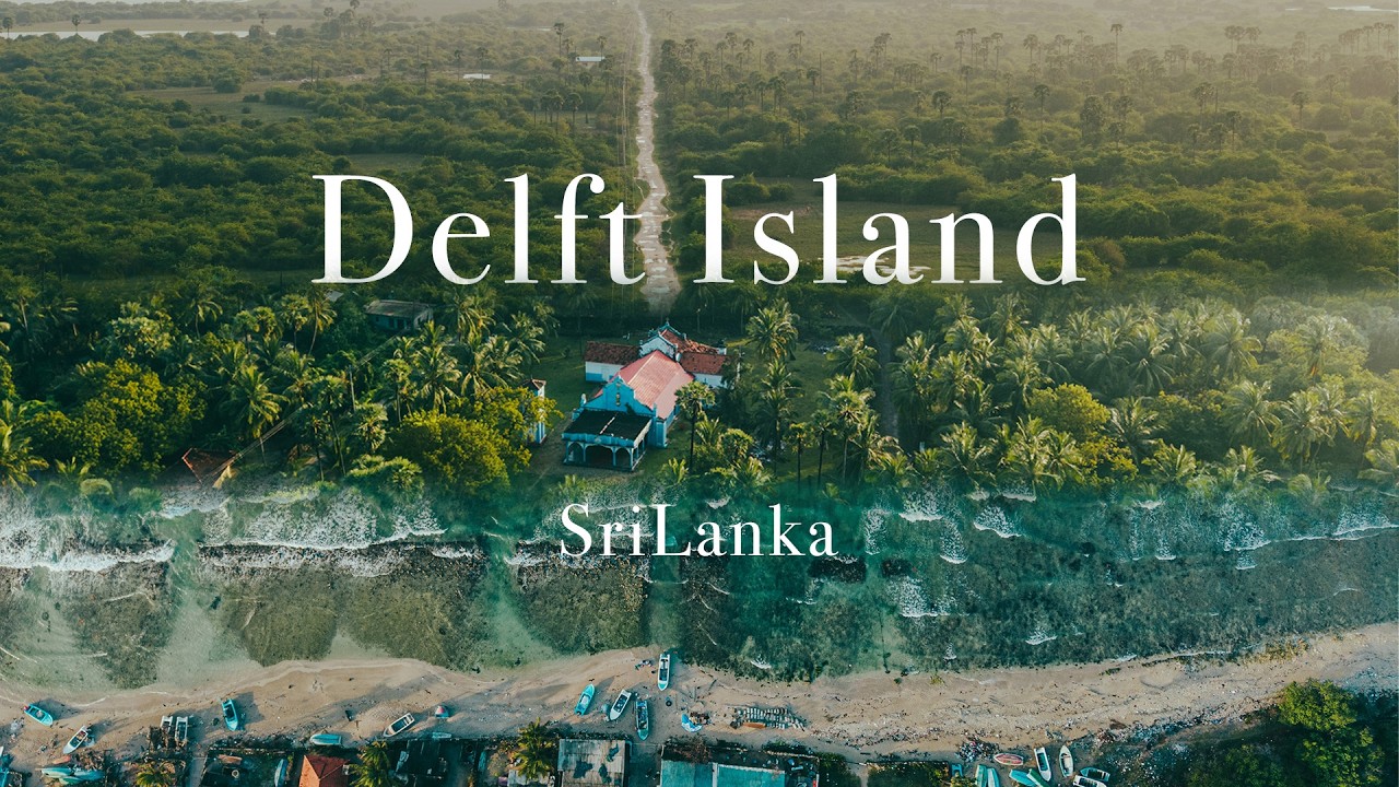 Delft island | The last untouched paradise in srilanka