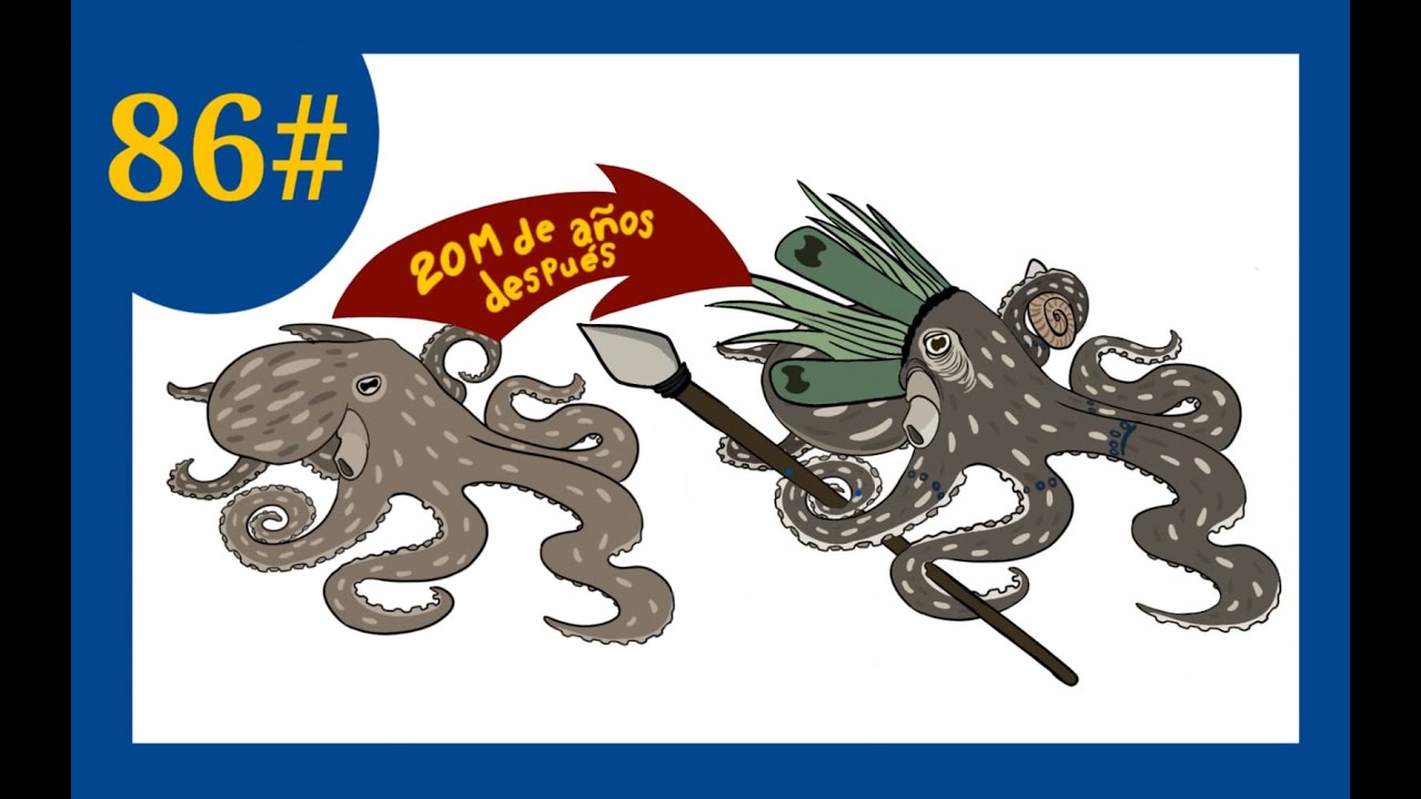 Especial 2K - Proyecto de Evolución Especulativa - Pulpo Roca