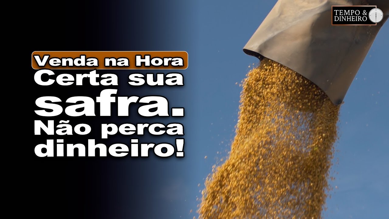 Venda sua safra na hora certa: evite perder dinheiro no mercado
