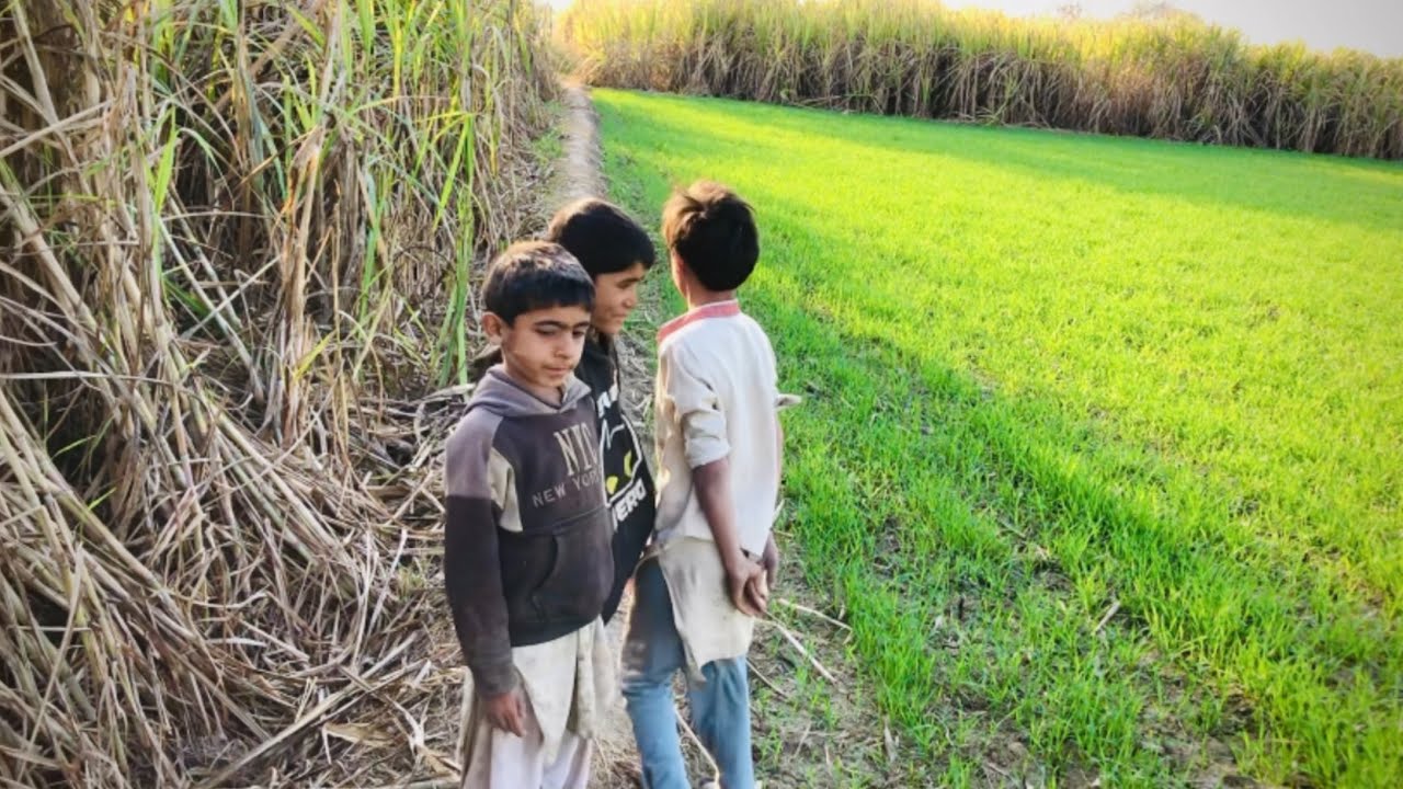 Pyare bachchoun ke Saath vlog banaya 😱😱😱 پیارے بچو ں کے ساتھ ویلوگ بنایا 