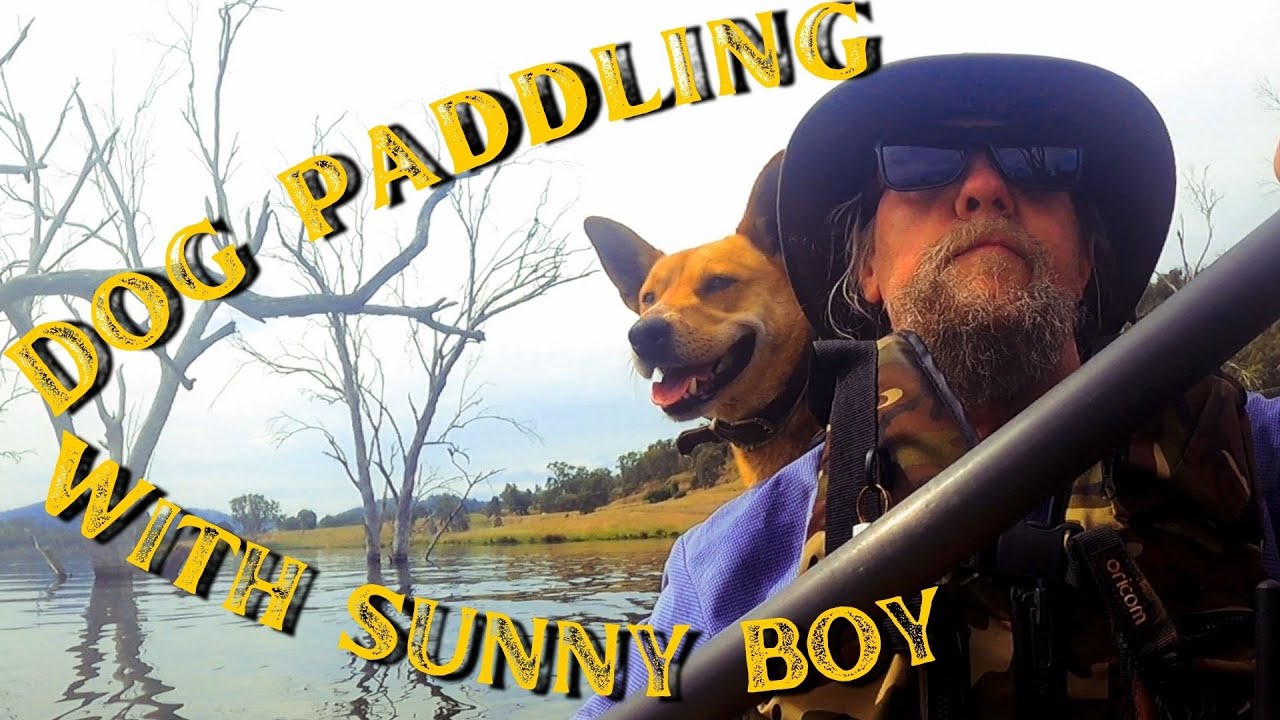 Dog Paddle Adventure: Kayaking on Chaffey Dam with Sunny Boy & Jan | Birds, Scenery & Fun