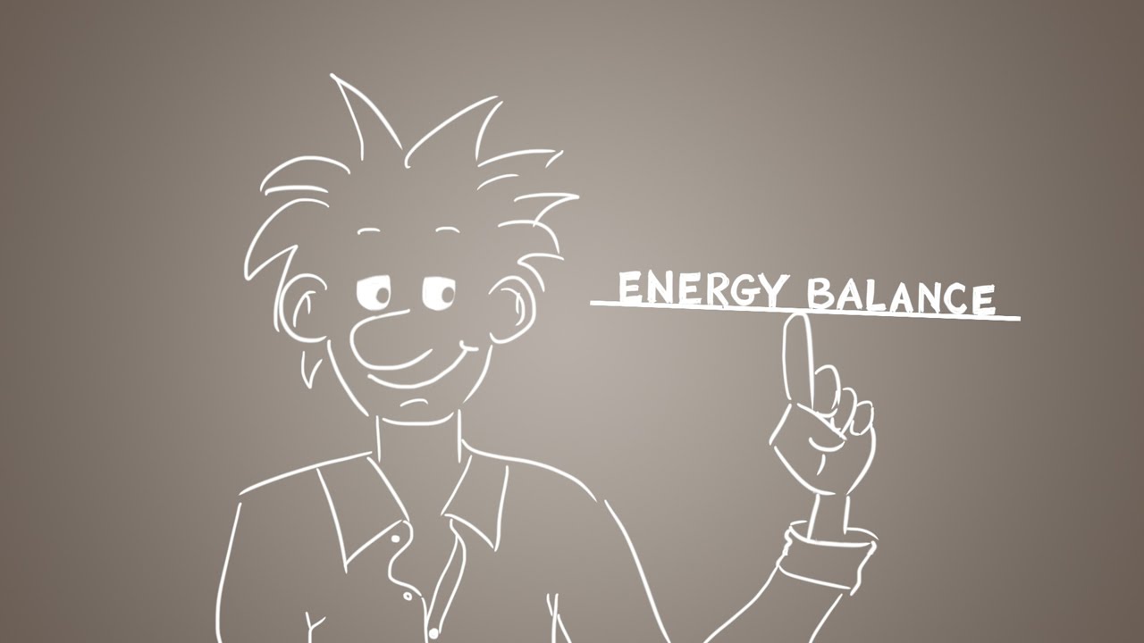 Che cos'è il bilancio energetico?