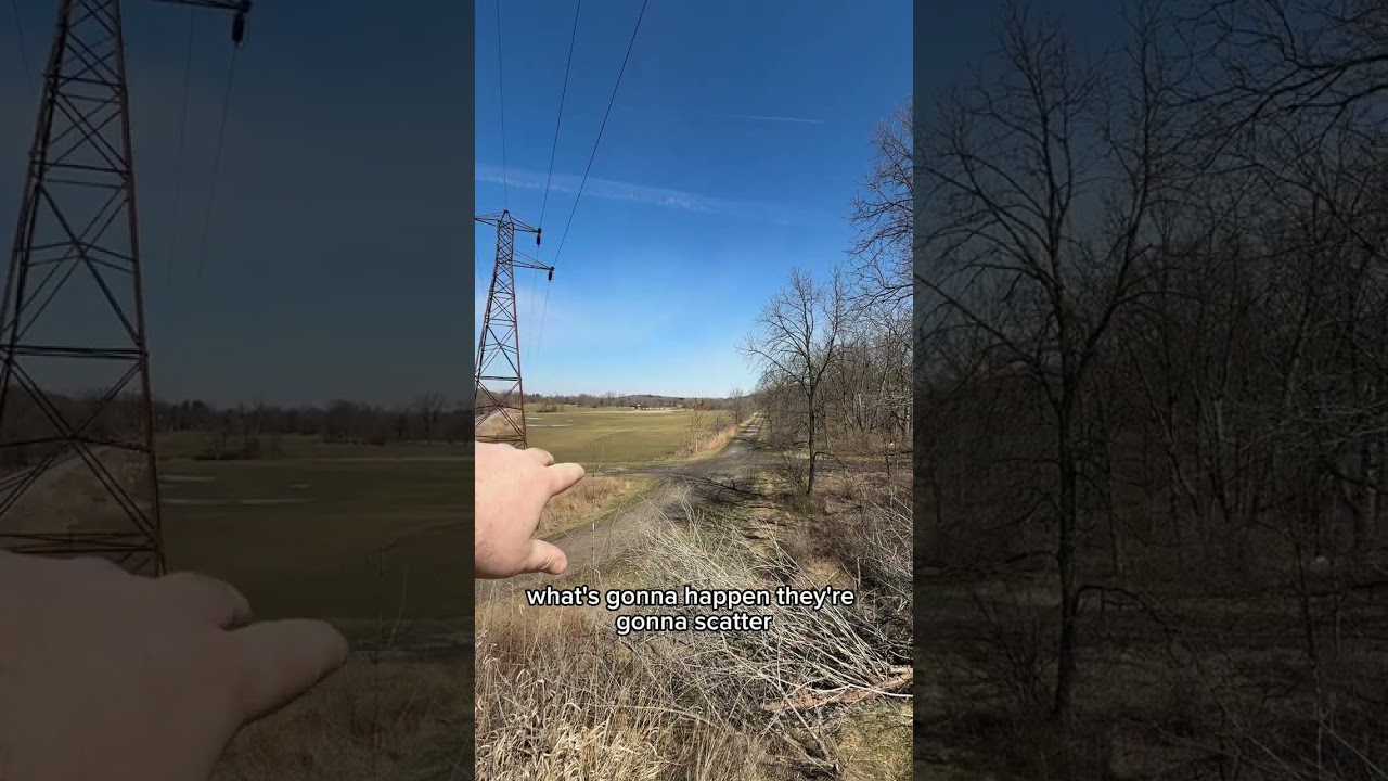 На какое расстояние должны стрелять стрелки из винтовки?