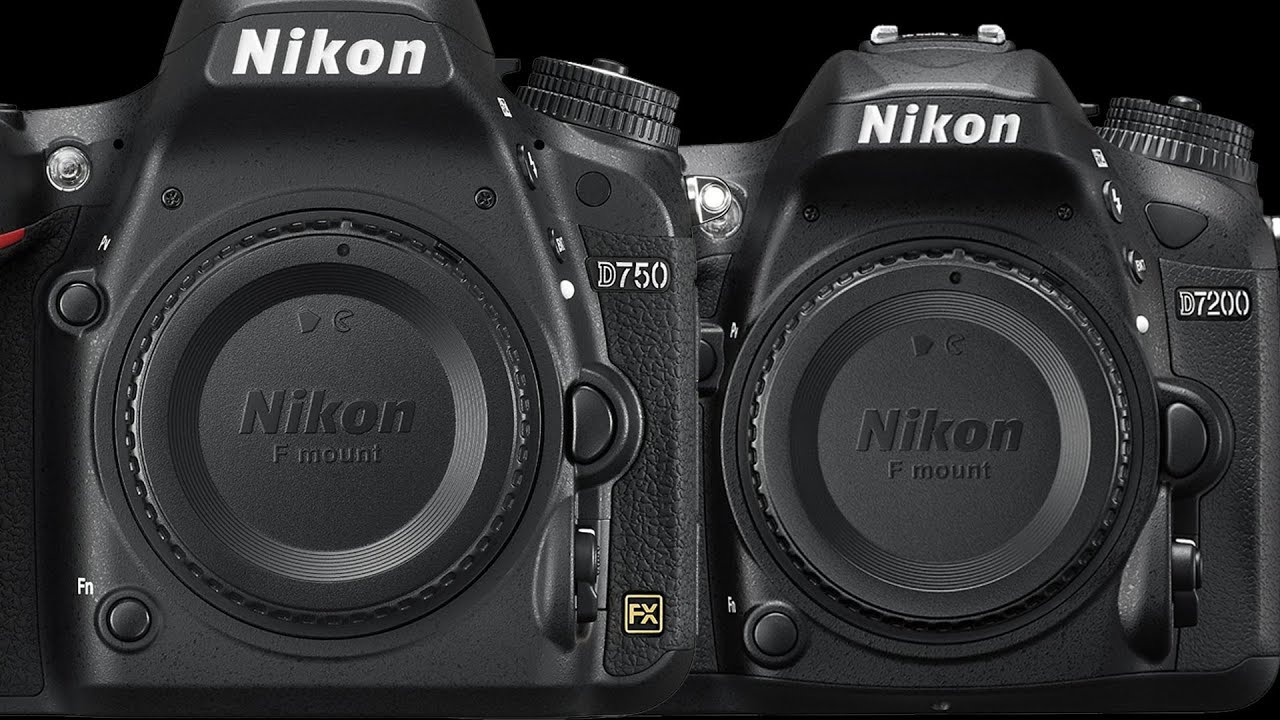 Nikon D750 vs Nikon D7200 Image Quality User Review from Tristan Jones Photography