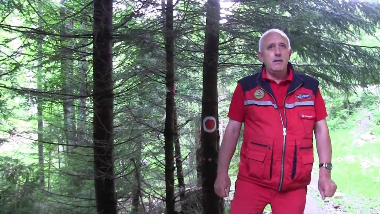 Despre Valea lui Stan