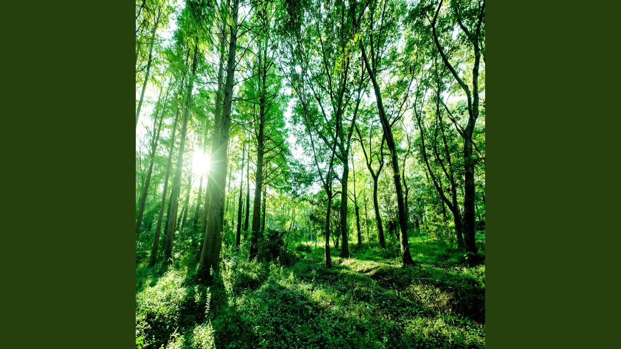 Into the Green