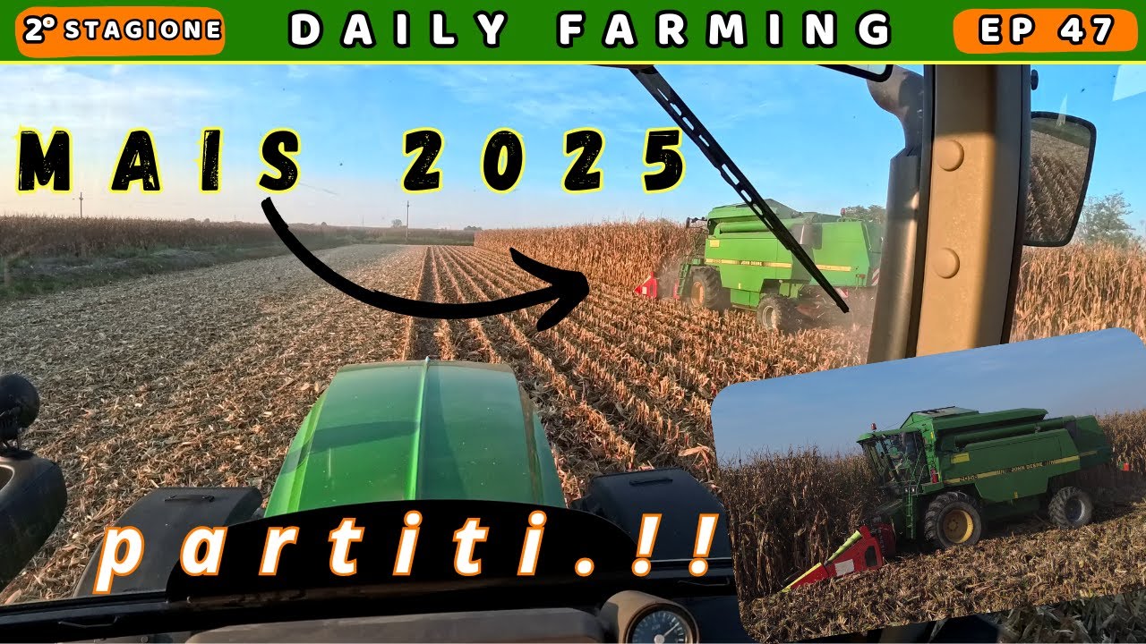 PRIMO GIORNO DI TREBBIATURA MAIS🌽🌽 | stagione raccolta  2025  partita | dailyfarming 47