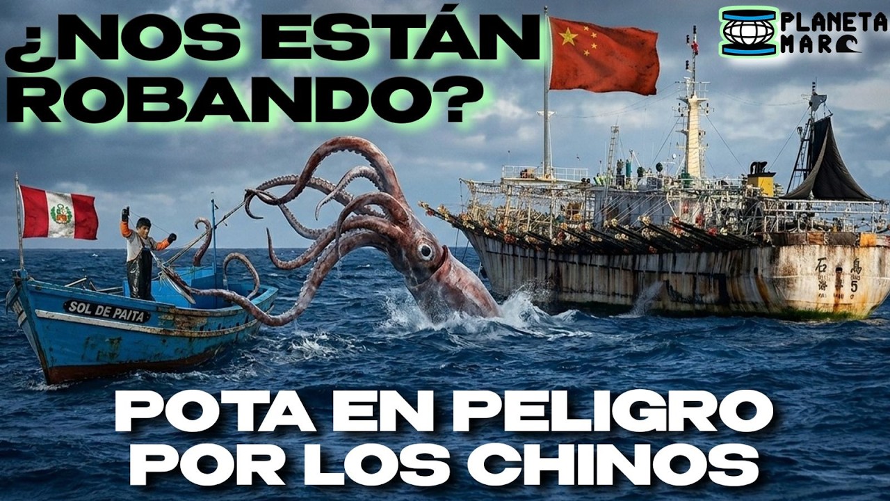 ESTRENO: La VERDAD sobre los BARCOS CHINOS Y LA POTA | Planeta Mar | CanalYA
