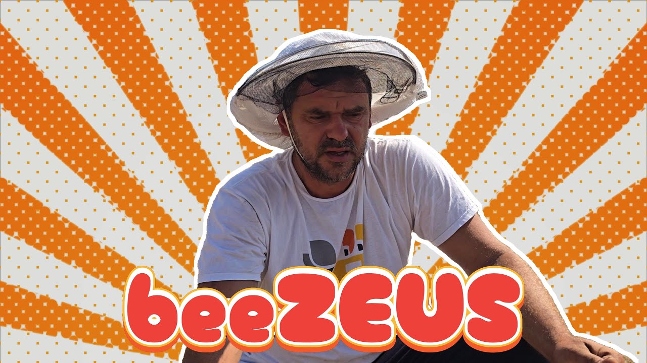 Στα μελίσσια βασιλοτροφίας by @beeZEUSapiculture