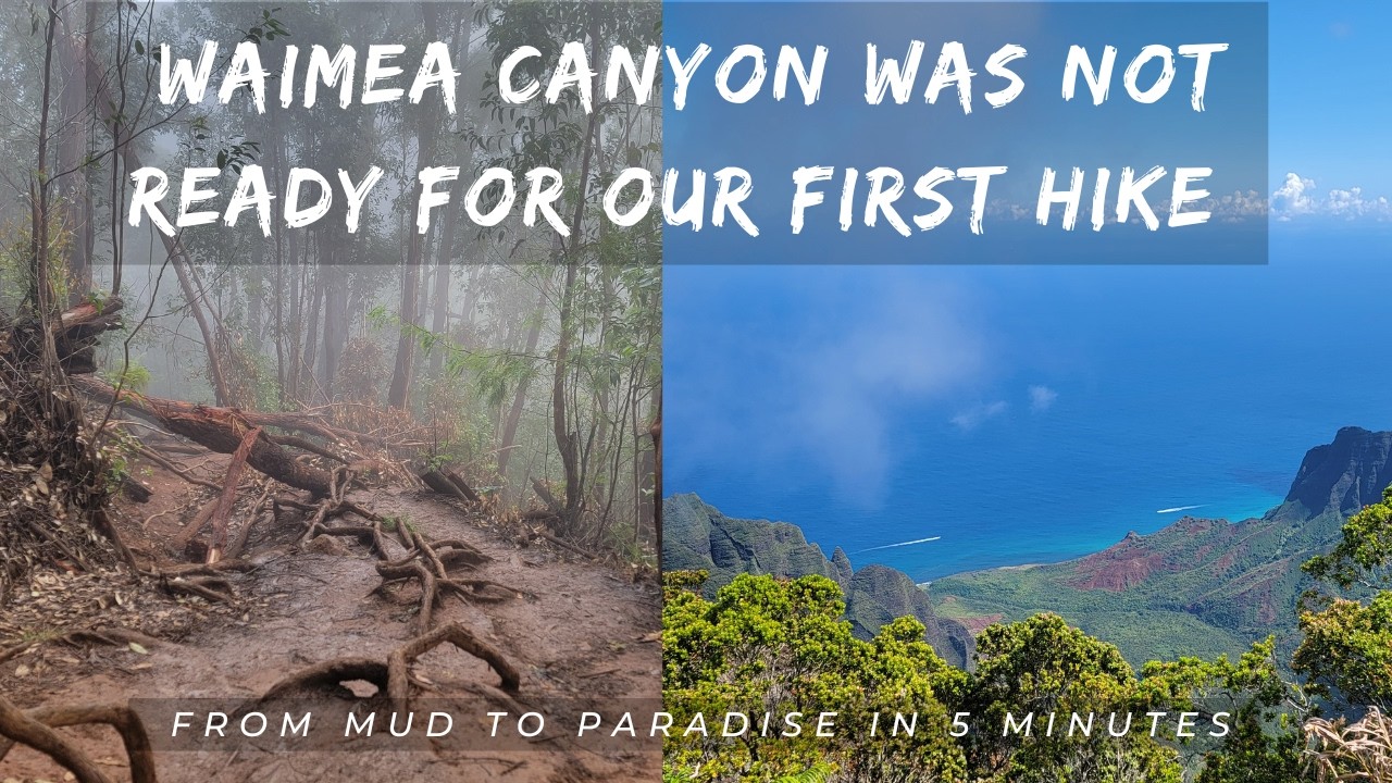 From Snorkel Paradise to Zero Visibility -  Our Wild Kauai Journey