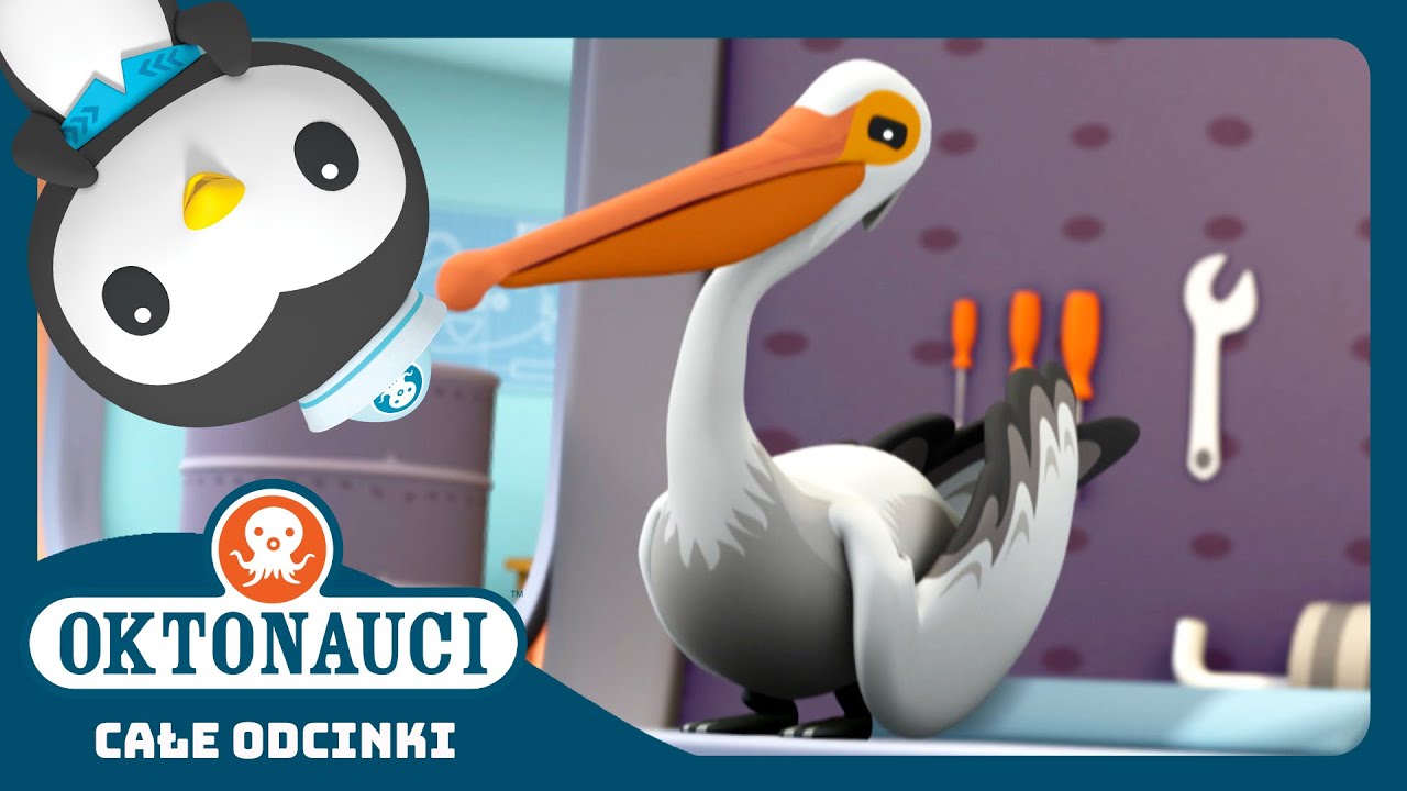 Oktonauci - 🐦 Pelikany i morski wyścig 🌊 | Cały odcinek 6 | Seria 3