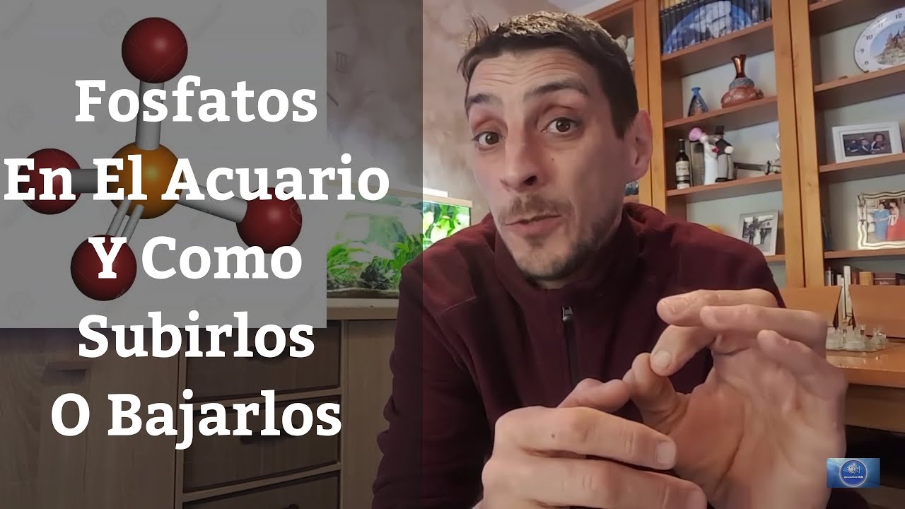 🔵 Fosfatos En Acuario,Como Bajarlos Con Resinas O Subirlos Con Enema Casen (Acuarios MB)
