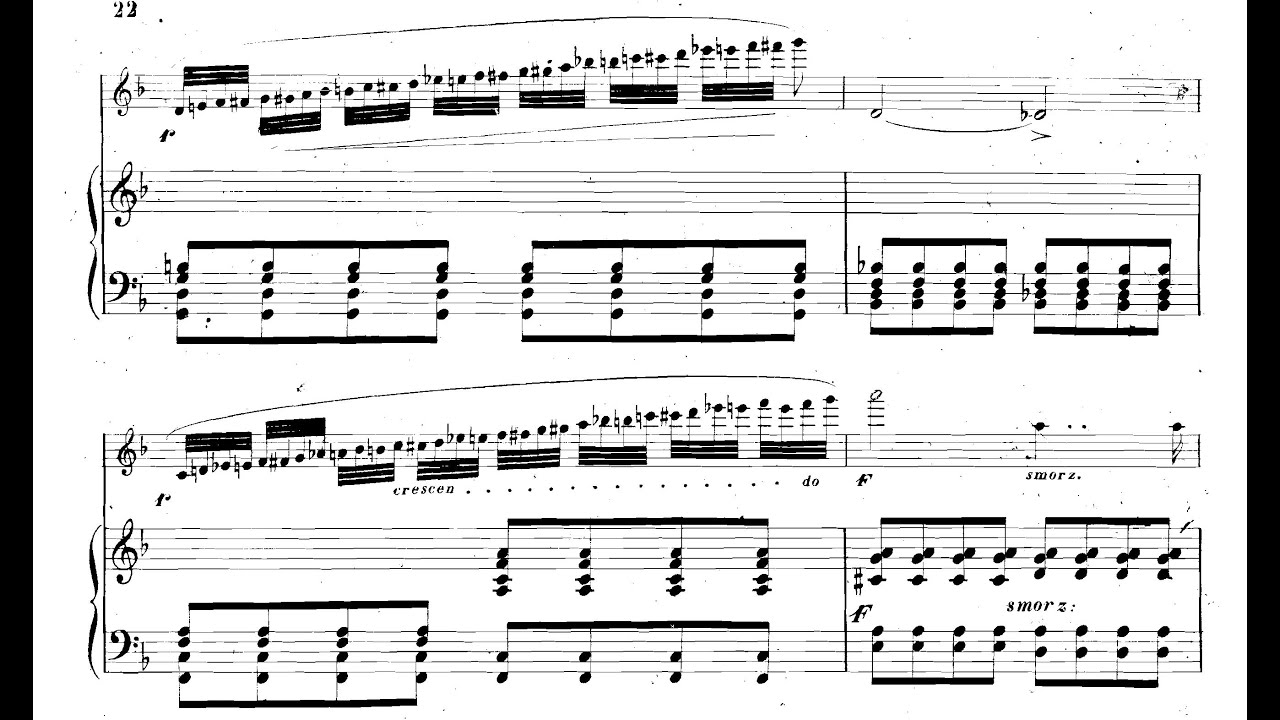 Cesare Ciardi - Flute Concerto, Op. 129 (1859) [Score-Video]
