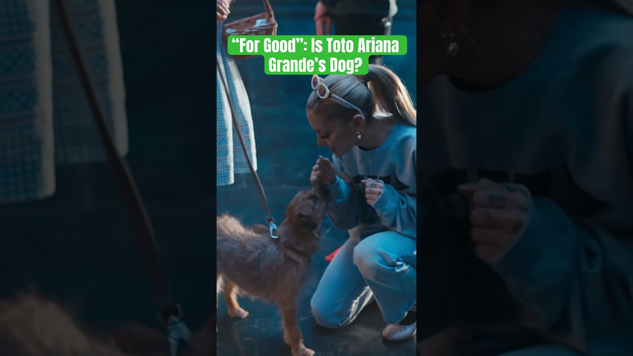 Тото &mdash; собака Арианы Гранде? #wicked #forgood #arianagrande #theozvlog @ArianaGrande @wickedmovie