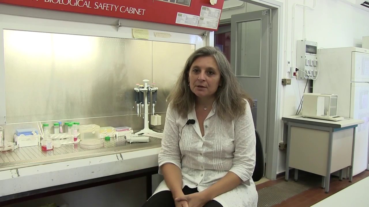 Mechanobiology Lab