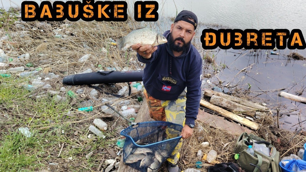 Feeder pecanje. Ribolov na Dunavu