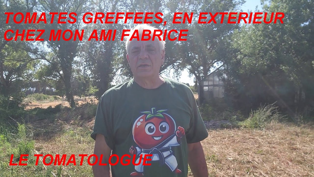 Les tomates de mon ami  Fabrice