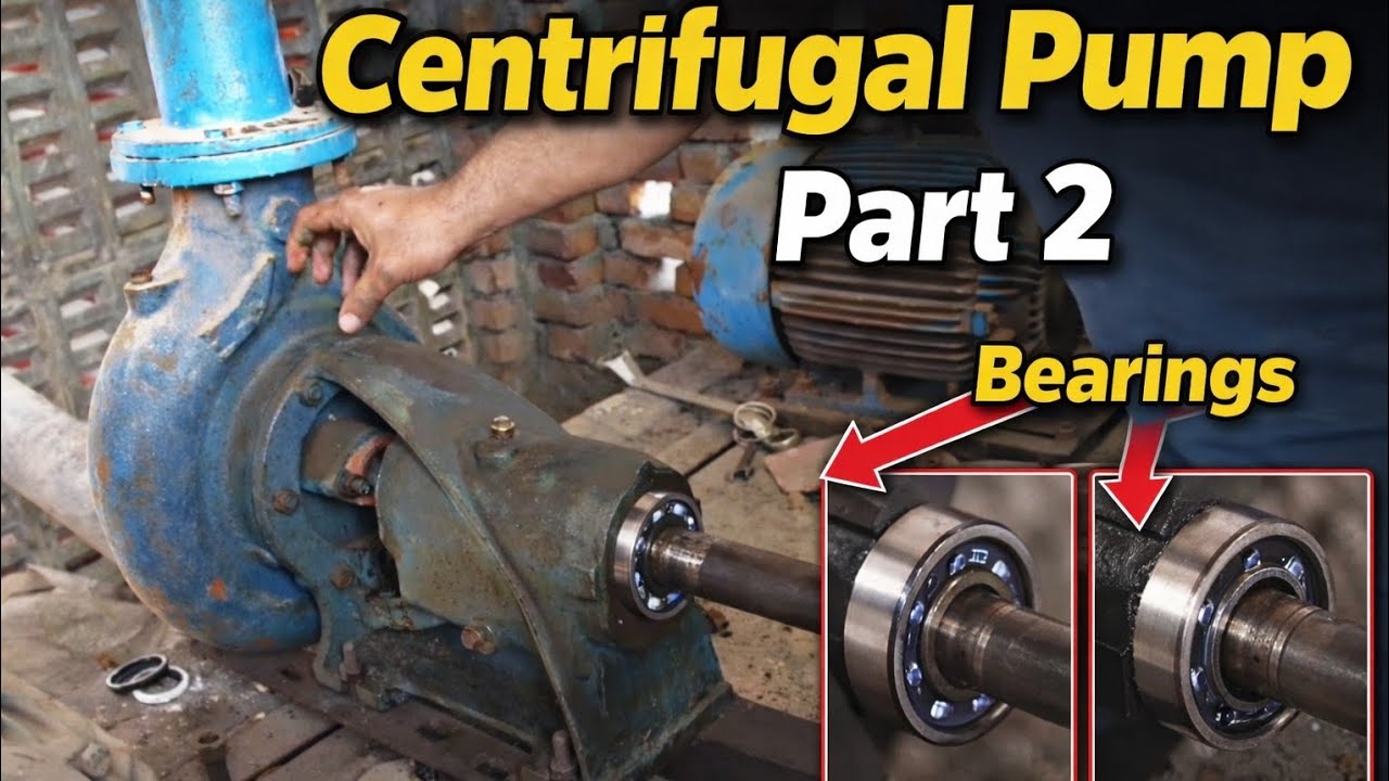 Centrifugal Pump Bearing Replacement | Complete Pump Repair Guide | Part 2