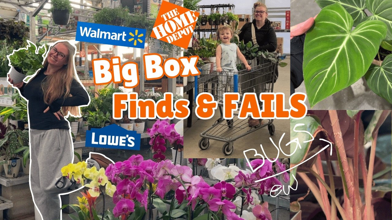 ☠️ $19 big box plant finds & FAILS 🥶 do NOT buy these plants at walmart, home depot OR lowe's 🤬