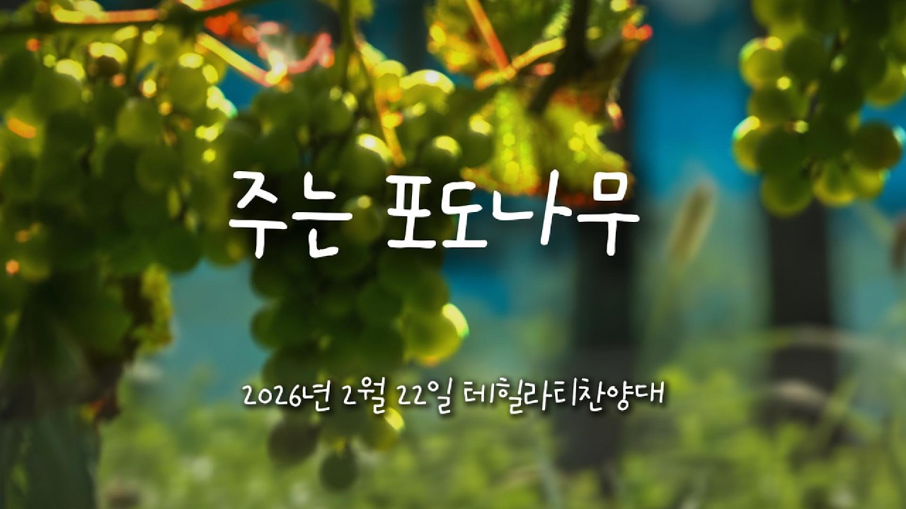 260222 주는 포도나무