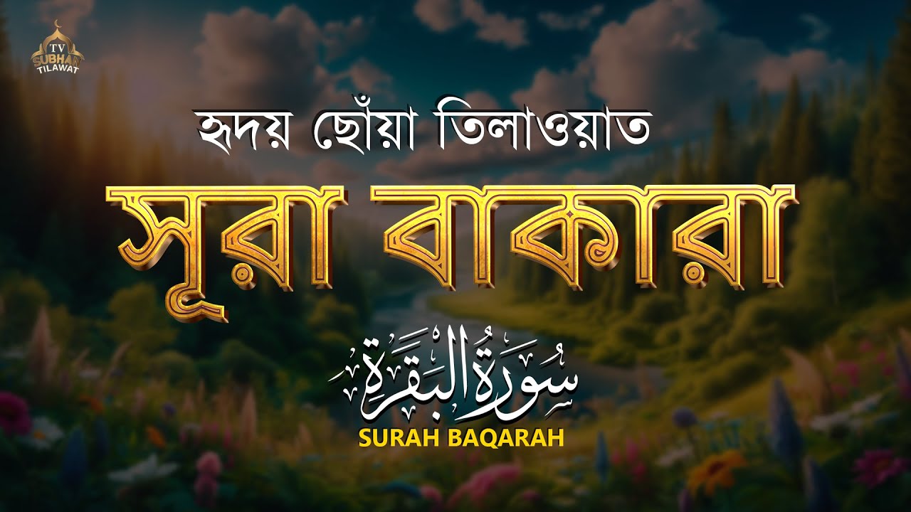 🌿 পৃথিবীর সবচেয়ে আবেগময় সুরা বাকারা তেলাওয়াত | Surah Al Baqarah (سورة البقرة) by Alaa Aqel 🎧