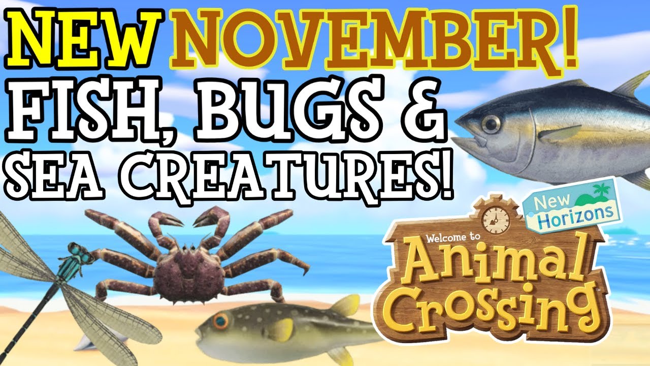 ВСЕ новые рыбы, насекомые и морские существа ноября в Animal Crossing New Horizons!