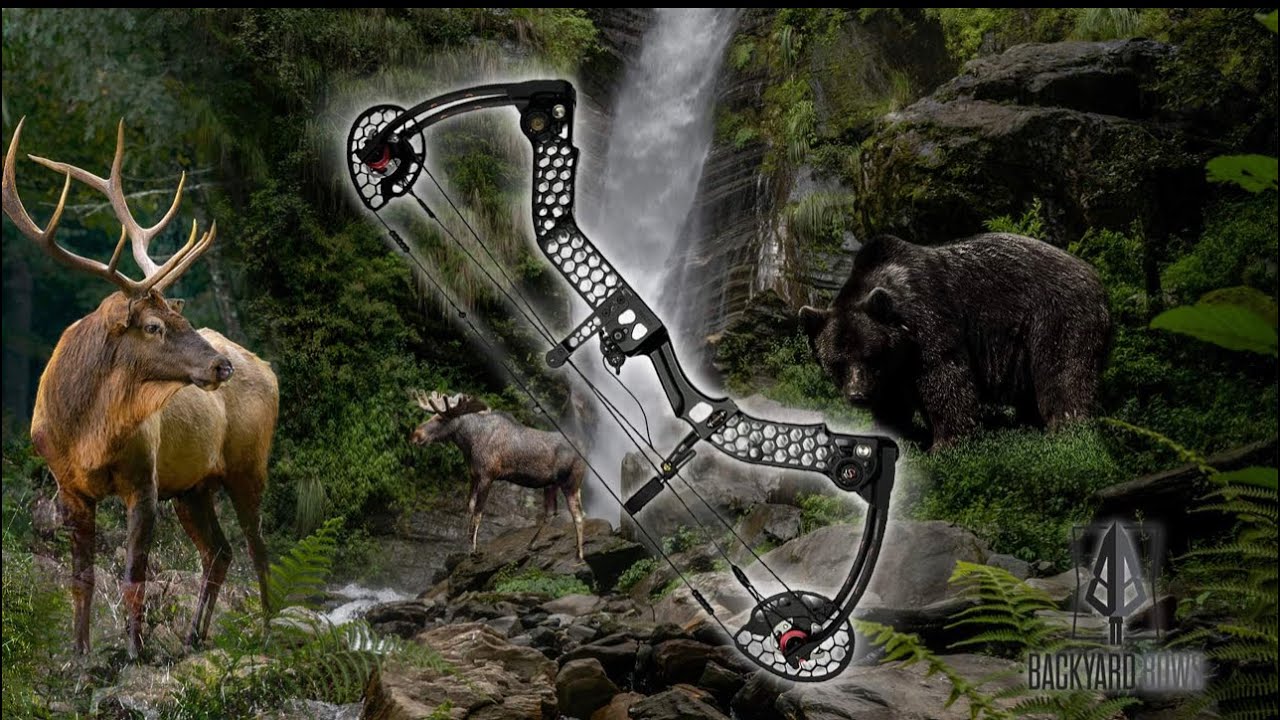 Backyad Bows Mathews Safari Review