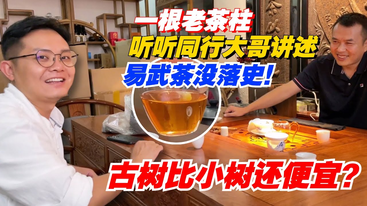 古树比小树还便宜？一根老茶柱，听听同行大哥讲述易武茶没落史！购茶请加微信/赖line2号店：HDLG002（同号，搜索）#普洱茶 #茶文化 #普洱茶要怎么泡 #古树茶#茶#茶叶#茶葉#古樹茶
