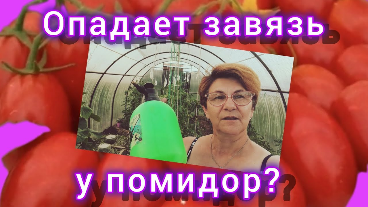 Вам нужен БОР!🍅 👍