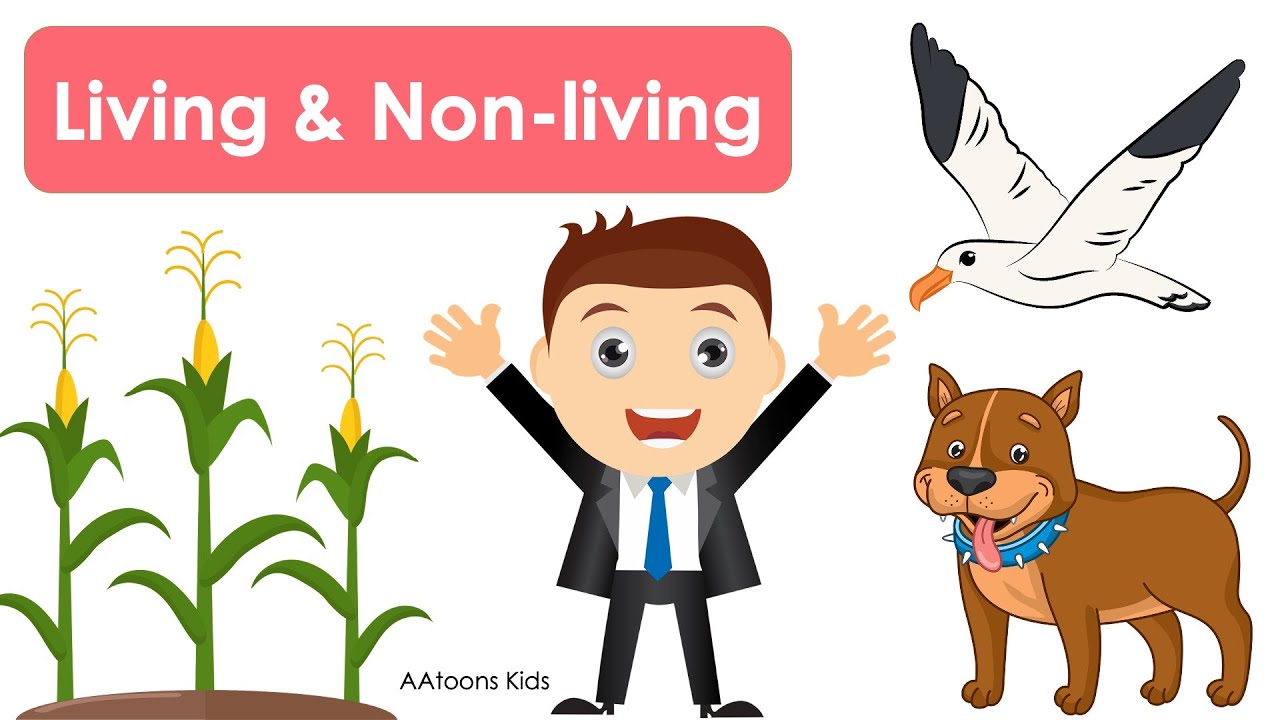 Living vs Non-Living Things for Kids 🌱 | Science for Kids | Class 1 & UKG