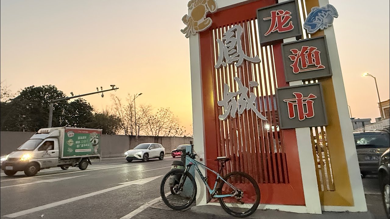 夕陽西下，單車出發。新進缸的海葵張“嘴”等喂食，騎車城西魚市場碰运气，可惜那儿，清一色河魚淡水貨，沒對口糧。再摸口袋——手電忘帶 ！只好摸黑騎夜路，兜轉N條街，为“淘”那鹹水海蝦！