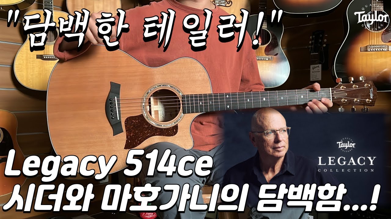 [테일러기타] 테일러 레거시 514ce 기타 (Taylor Legacy 514ce Guitar)