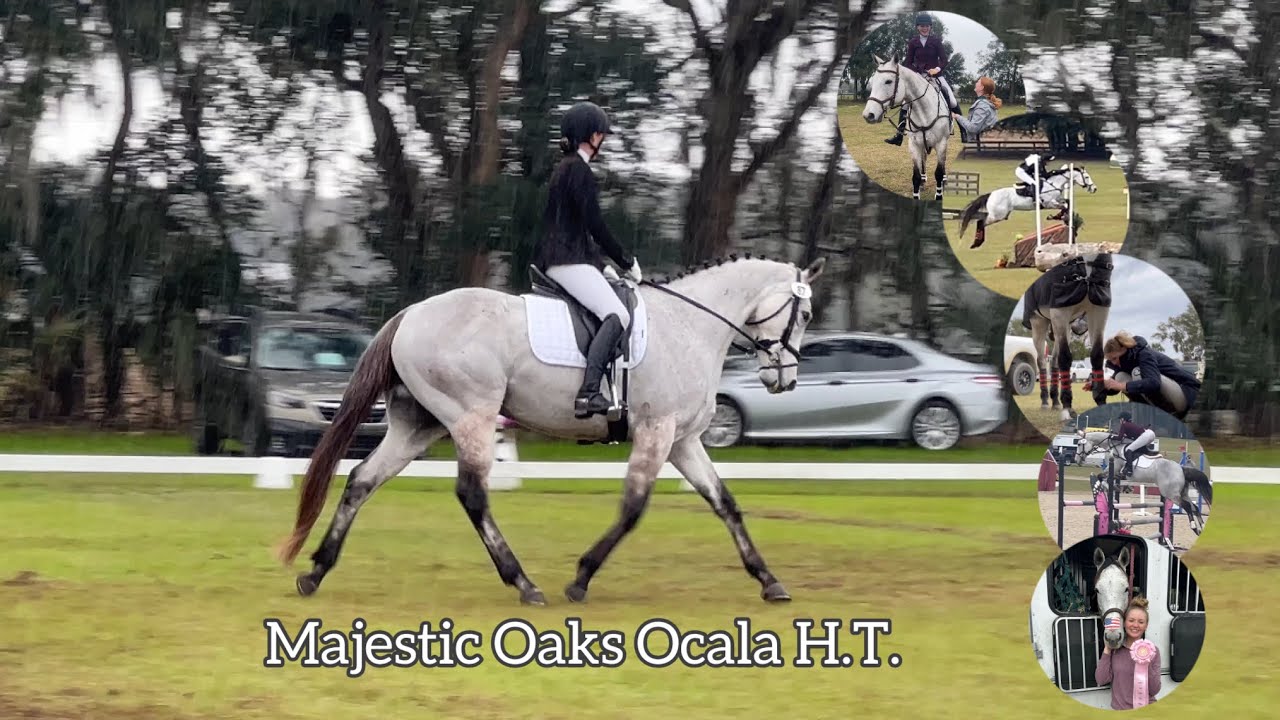Majestic Oaks Ocala H.T. - Vlog