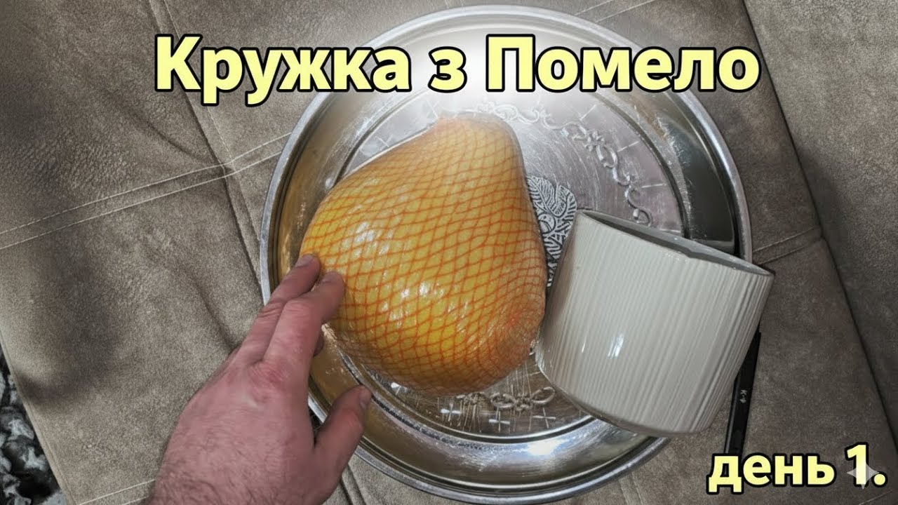 Кружка з Помело день 1.