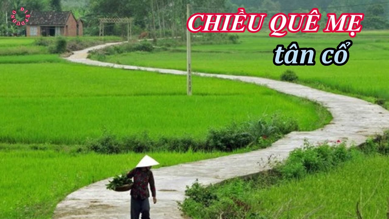 TÂN CỔ : CHIỀU QUÊ MẸ | TG : DŨNG NHI | TB : DƯƠNG ĐIỆP